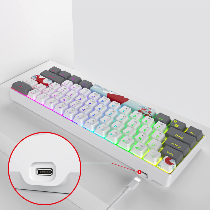 RGB Mechanical Keyboard 60 Percent Red Switches, Ultra-Compact Mini Wired Gaming Keybaord with Backlit PBT Dye-Sub Keycaps for Win/Mac/PC (White/Red Switch)