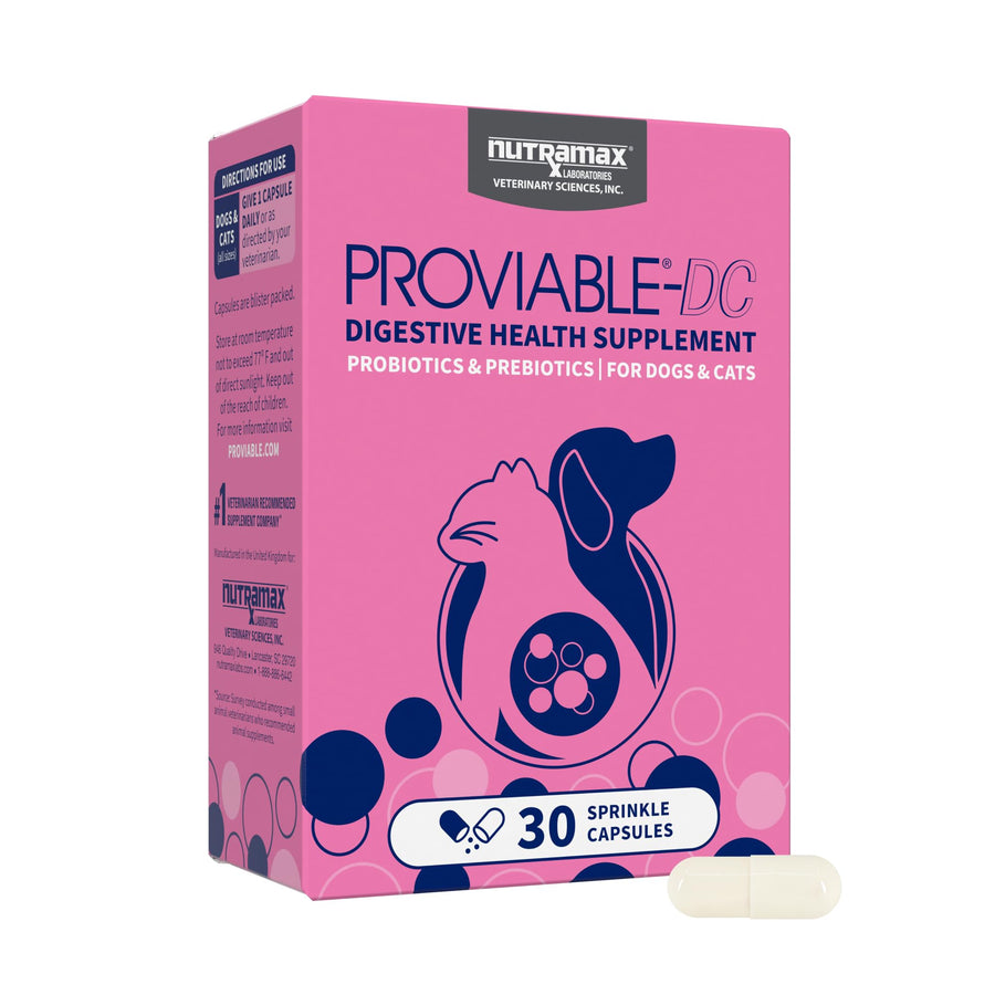 Nutramax Laboratories 30 Count Health Supplement for Cats and Dogs (PROVDC30)