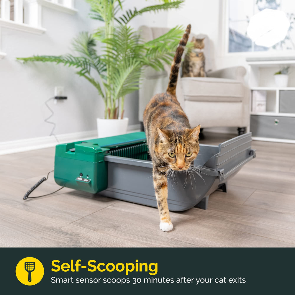 Smart Scoop Litter Box Value Pack, Self Cleaning, Hands-Free Large Litter Box, Easy to Clean
