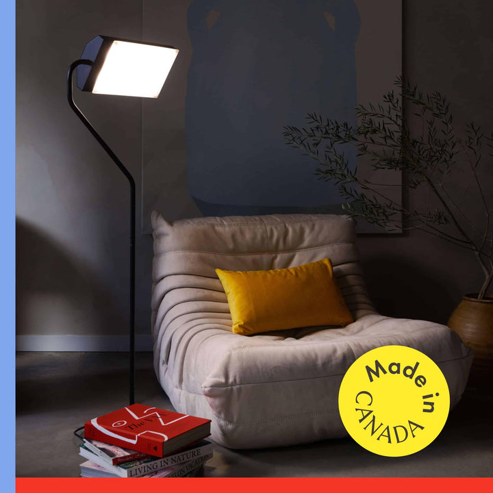 Northern Light Technology Flamingo 10,000 Lux Bright Light Therapy Floor Lamp, Black