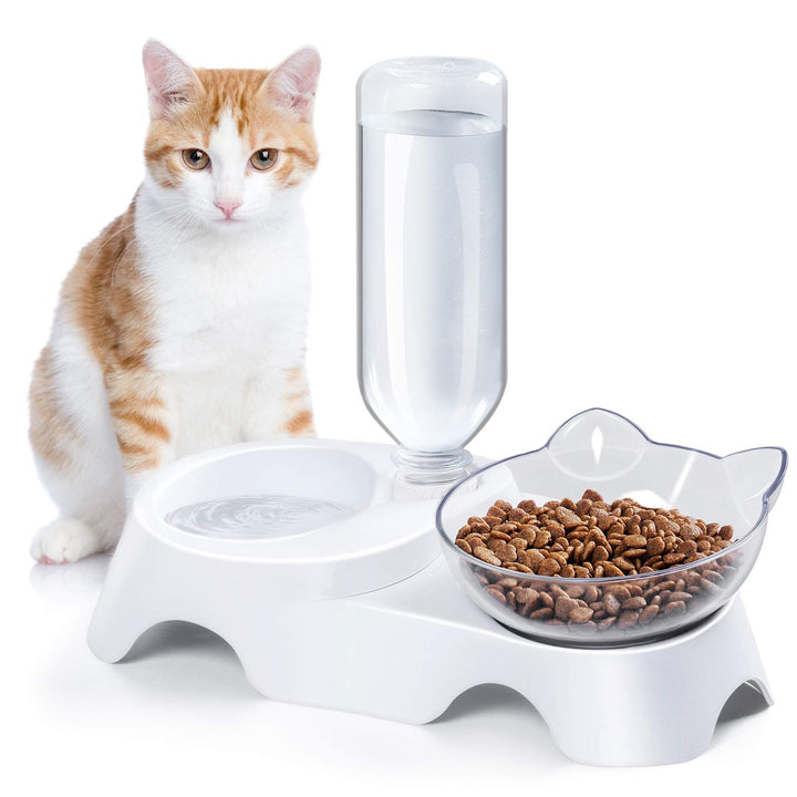 Double Dog Cat Bowls - Pets Water and Food Bowl Set, 15°Tilted Water and Food Bowl Set with Automatic Waterer Bottle for Small or Medium Size Dogs Cats