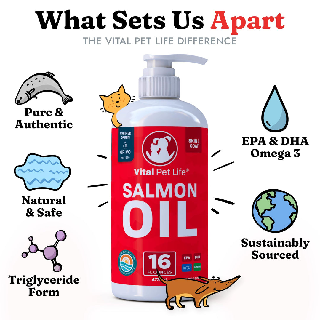 Salmon Oil for Dogs &amp; Cats - Healthy Skin &amp; Coat, Fish Oil, Omega 3 EPA DHA, Liquid Food Supplement for Pets, Supports Joint &amp; Bone Health, Natural Allergy &amp; Inflammation Defense, 16 oz