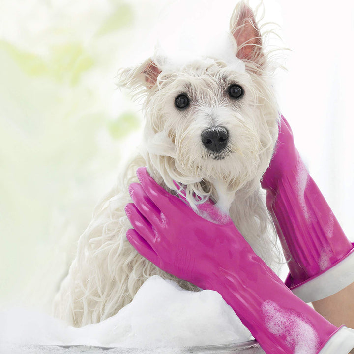 Playtex Living Reuseable Rubber Cleaning Gloves (Small,