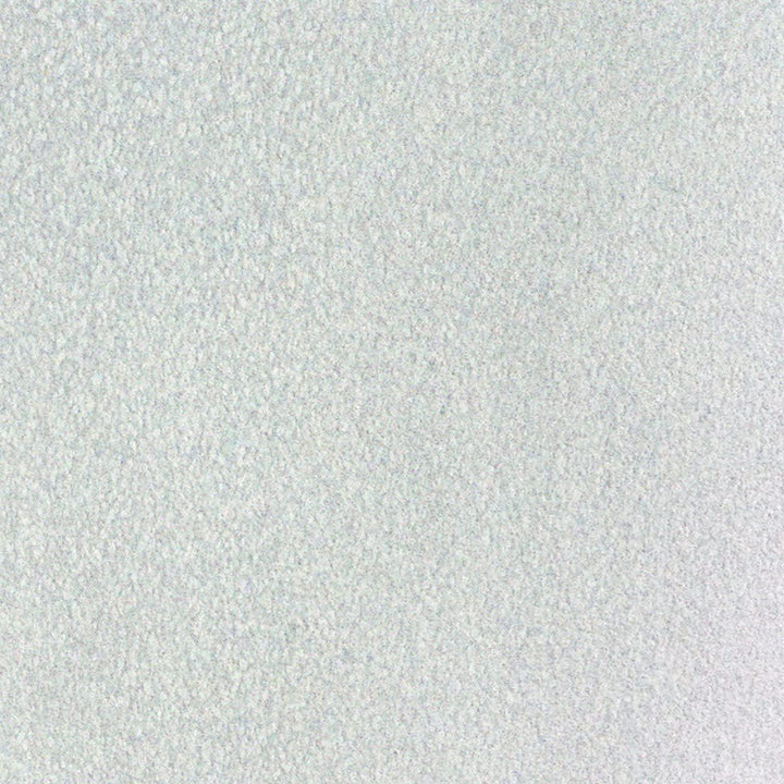323860 Glitter Interior Wall Paint, 28 Fl Oz (Pack of 1), Iridescent