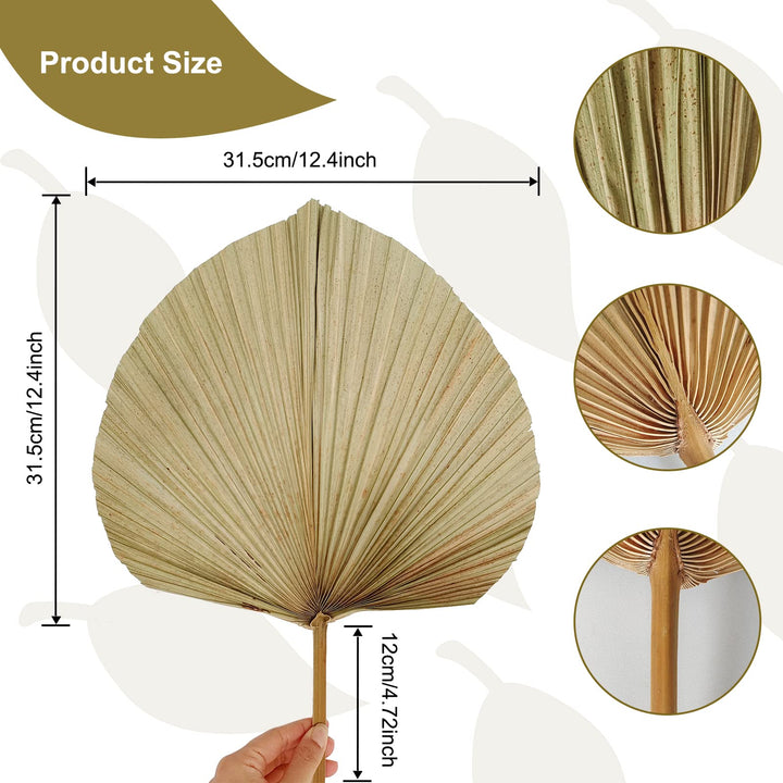 4 Pack Natural Dried Palm Fans Tropical Leaves, 17&#39;&#39; Dry Palm Leaves Spears Plant for Boho Style DIY Art Wall Hanging Ornament,, Party Decoration, Wedding Decor for Valentine&#39;s Day