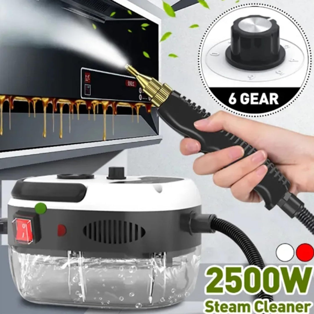Steam Cleaner,2500W High Temperature Pressurized Steam Cleaner,Portable Steam Cleaning Machine,10S Fast Heating,with 3 Brush Heads