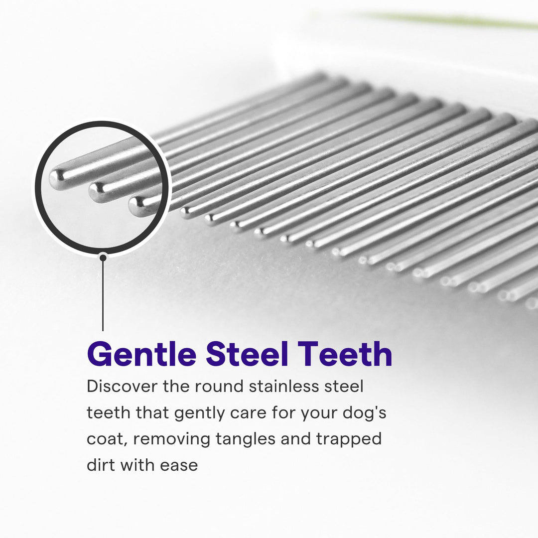 Dog Comb for Removes Tangles and Knots - Cat Comb for Removing Matted Fur - Grooming Tool with Stainless Steel Teeth and Non-Slip Grip Handle - Best Pet Hair Comb for Home Grooming Kit - Ebook Guide