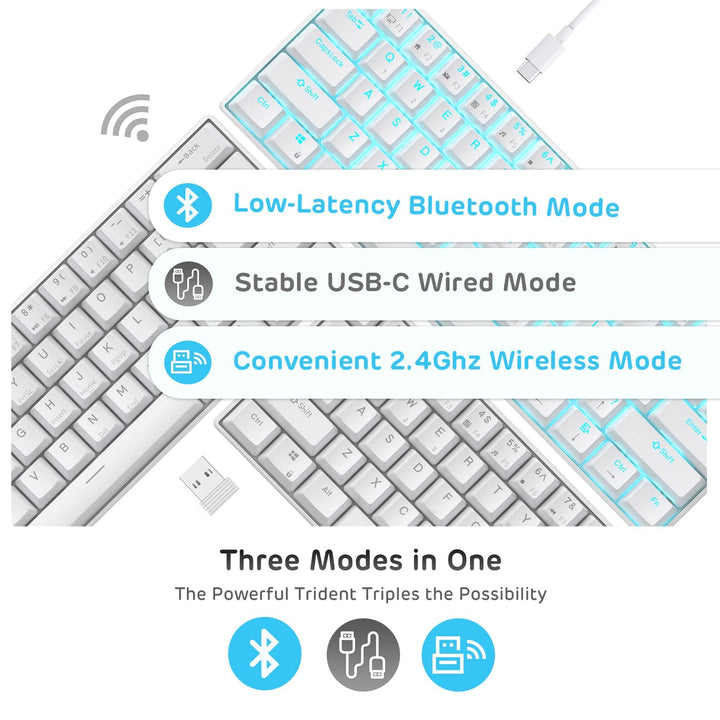 RK61 Wireless 60% Mechanical Gaming Keyboard, Ultra-Compact 60 Keys Bluetooth Mechanical Keyboard with Programmable Software (Blue Switch, White)