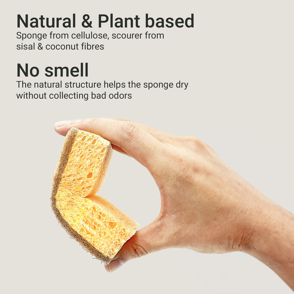 Vove | Premium Natural Kitchen Sponge | Non Scratch | L