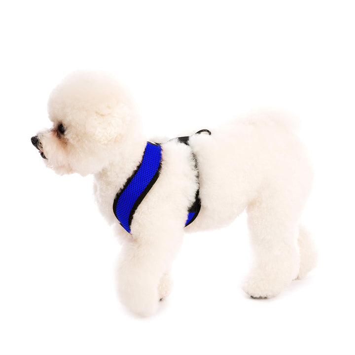 Comfort X Head In Harness - Blue, Medium - No Pull Small Dog Harness, Patented Choke-Free X Frame - Perfect on the Go Dog Harness for Medium Dogs No Pull or Small Dogs for Indoor and Outdoor Use