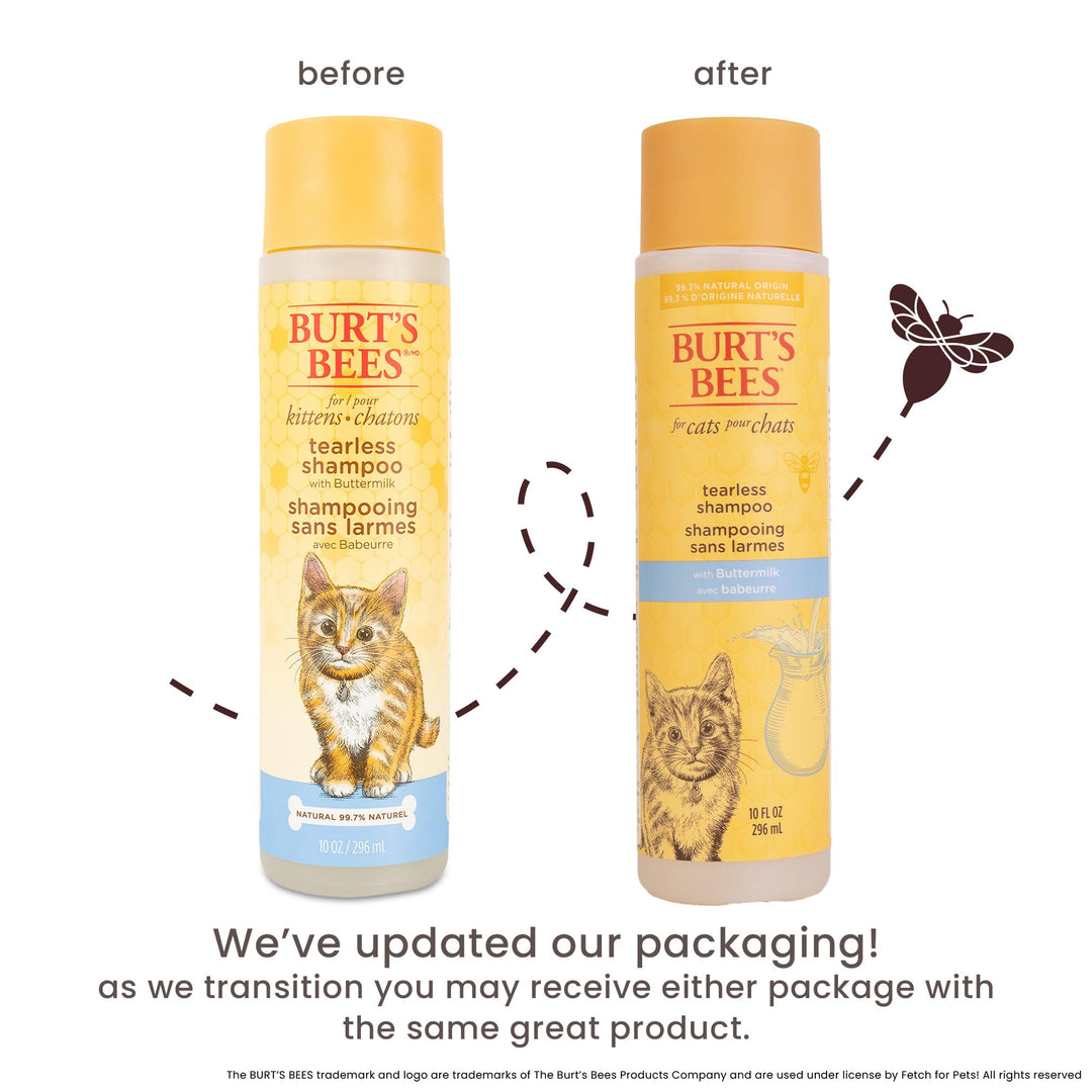 Burt&#39;s Bees for Pets Tearless Kitten Shampoo with Buttermilk, 99.3% Natural Origin Formulas, Pet Shampoo for Cats, Gentle Cat Shampoo, Cat Shampoo for Itchy Skin, 10 oz