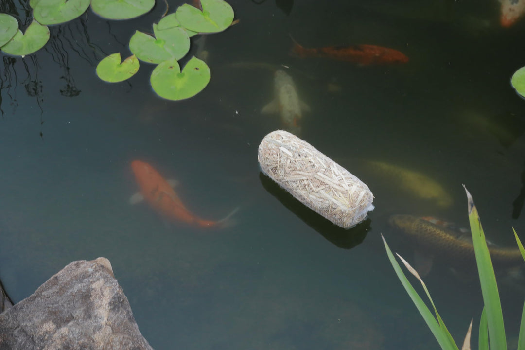 Clear-Water Barley Straw Pond Treatment, 2-Pack, Treats upto 2000 Gallons, 1000 Gallons per Bale