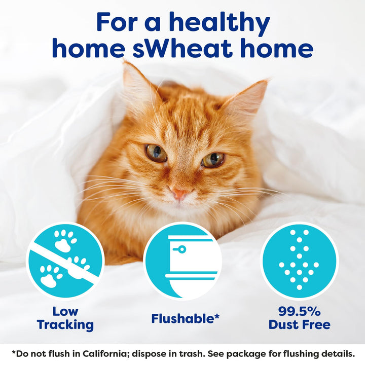 Natural Wheat Cat Litter, Original, Fast Clumping with Odor Neutralizing Enzymes, 25 Pound Bag