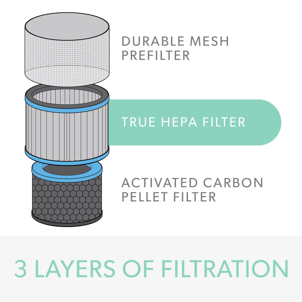 DuPont Allergy & Flu Filter with True HEPA for Z-3000 Air Purifier (Large)