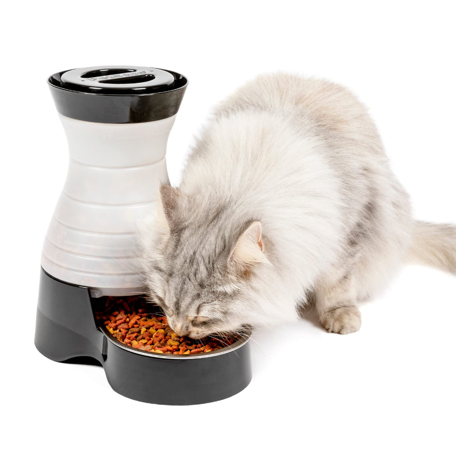 Healthy Pet Food Station - Small, 2 lb Kibble Capacity - Gravity Pet Feeder Dry Food Dispenser - Automatic Cat Feeder or Small Dog Feeder - Removable Stainless Steel Bowl Included