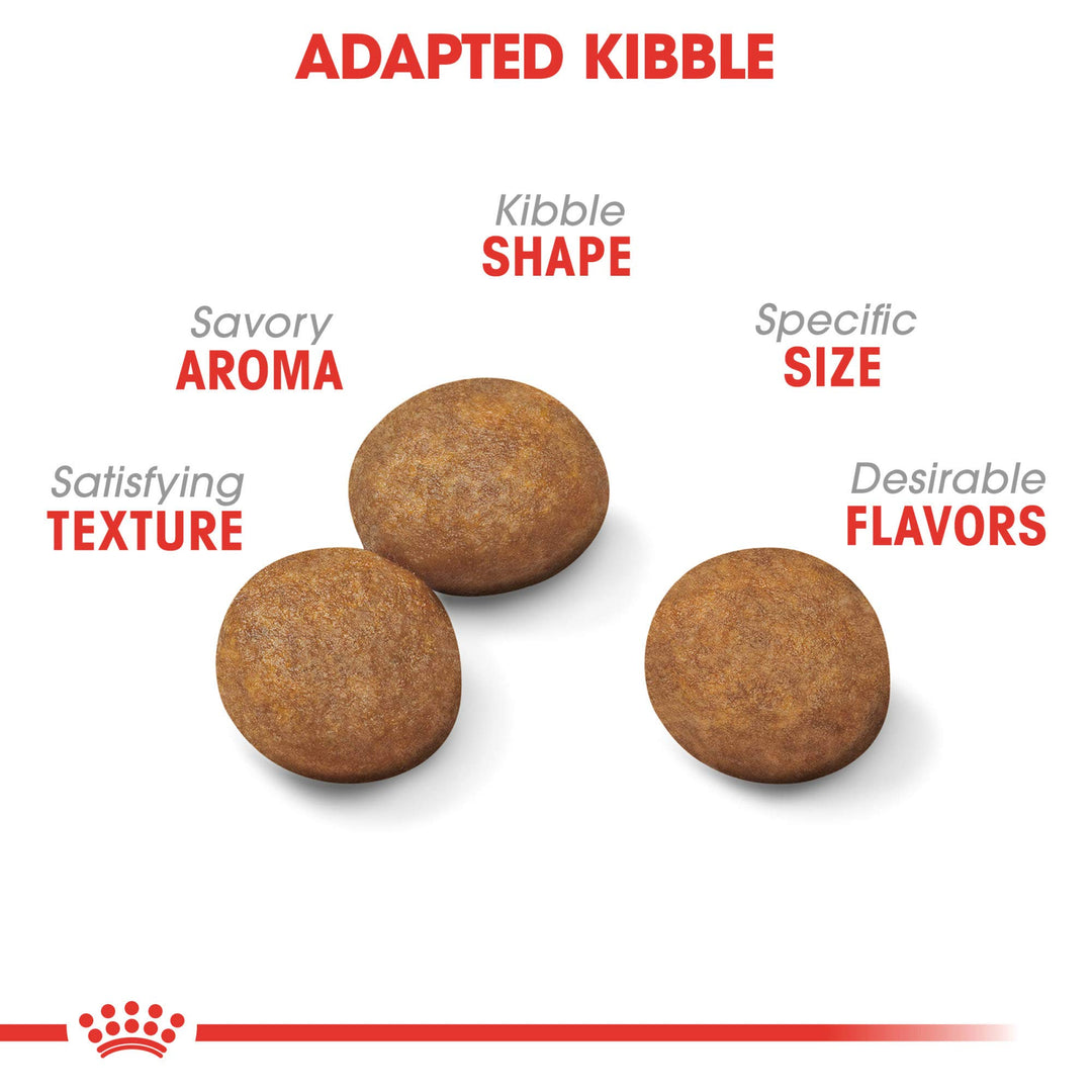 Size Health Nutrition Large Puppy Dry Dog Food, 18 lb bag