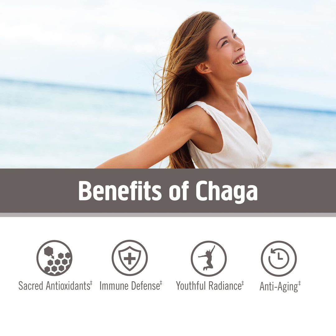 Chaga Organic Mushroom Powder, 7.05 Ounce Pouch, 100 Servings, US Grown, Sacred Antioxidants &amp; Immune Support, Superfood Mushroom Supplement