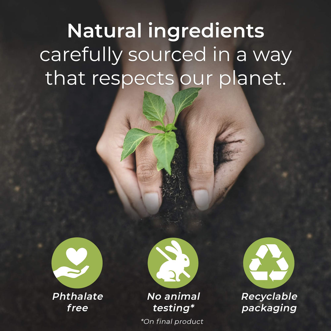 Botanica Plug in Scented Oil Refill, 2 Refills, French Lavender and Honey Blossom, Air Freshener, Essential Oils