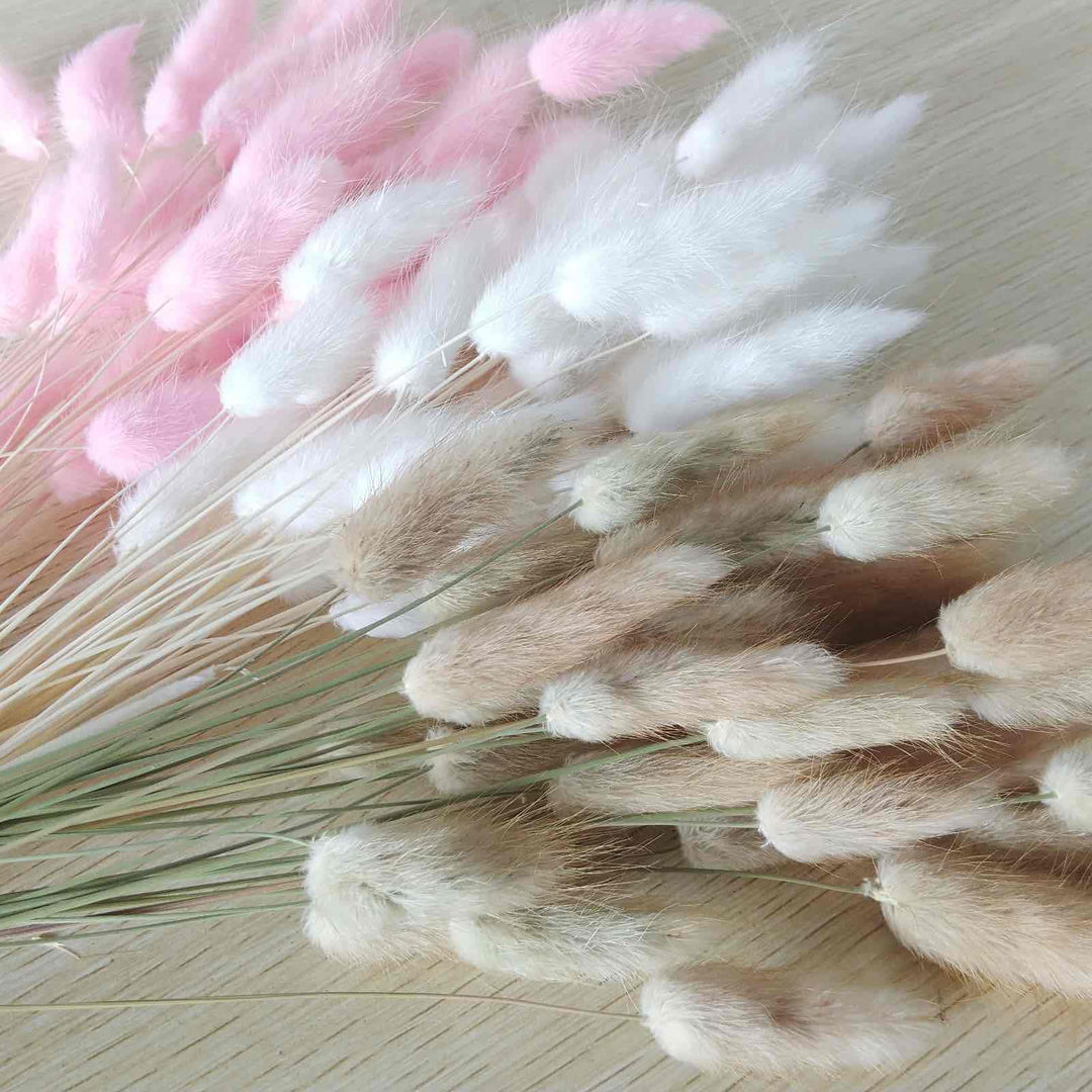 Natural Dried Bunny Tail Grass - 110~120 Stems Rabbit Tail Grass, Lagurus Ovatus for Boho Decor, Dried Pampas Grass Flower Arrangements Wedding Home Kitchen Office Decor (White)