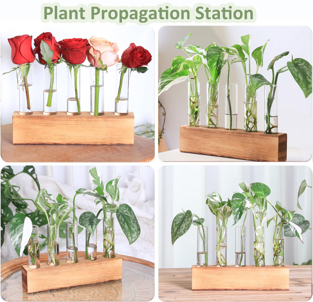 KAXYEW Plant Propagation Station, Plant Propagation Tubes, Gifts for Plant Lovers, Plants Cutting Holder Office Desk Garden Décor Gifts for Her Mom Women Hydroponic Vase Gift Box