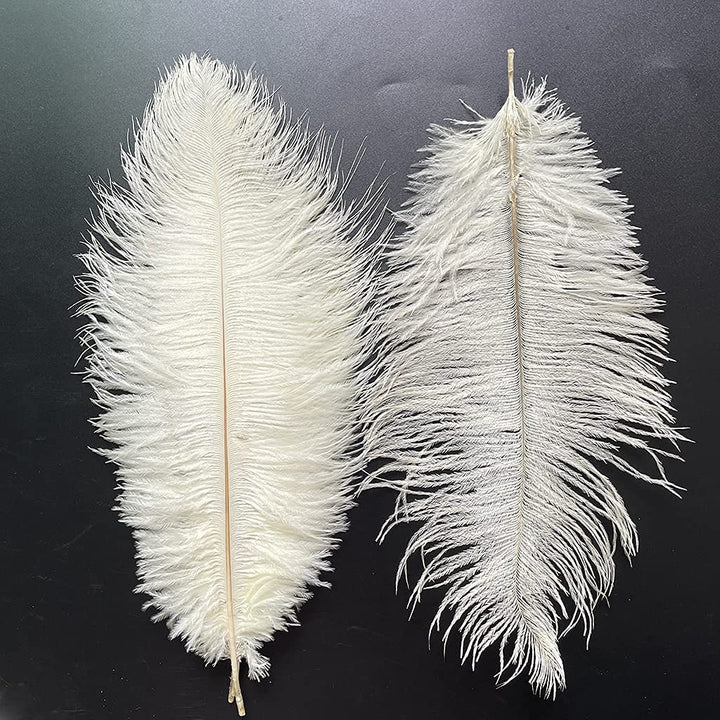 20pcs Natural Ostrich Feathers 10-12 inch(25-30cm) Plume for Wedding Decoration Costume Customization and Halloween Party Carnival (Ivory)