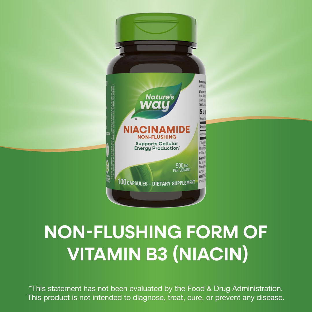 Nature&#39;s Way Niacinamide, Non-Flushing Vitamin 
