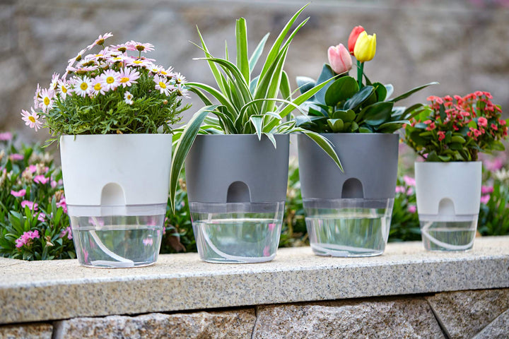 6/4.1/3.2 Inch Self Watering Planter Pots, 5 Pack African Violet Pots for Indoor Outdoor Windowsill Gardens, Self Aerating, High Drainage, Deep Reservoir(Gray)