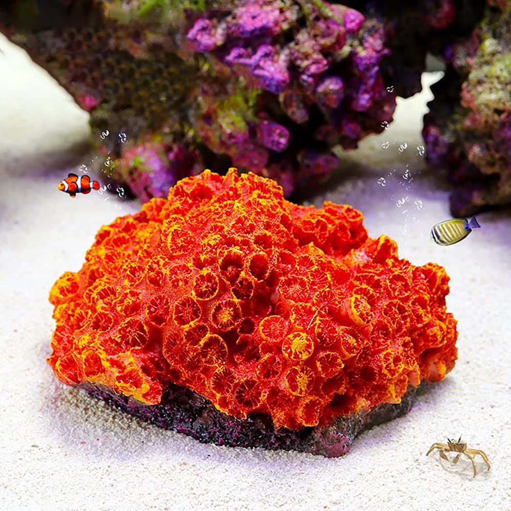 1Pc of Polyresin Coral Ornaments, Aquarium Coral Decor for Fish Tank Aquarium Decoration 5.11 x 3.93 x 2.75…
