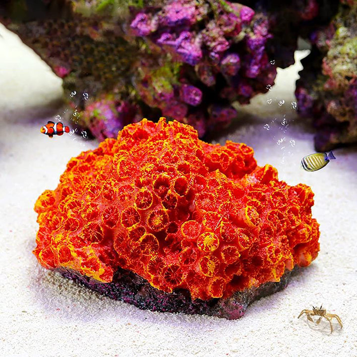 1Pc of Polyresin Coral Ornaments, Aquarium Coral Decor for Fish Tank Aquarium Decoration 5.11 x 3.93 x 2.75…
