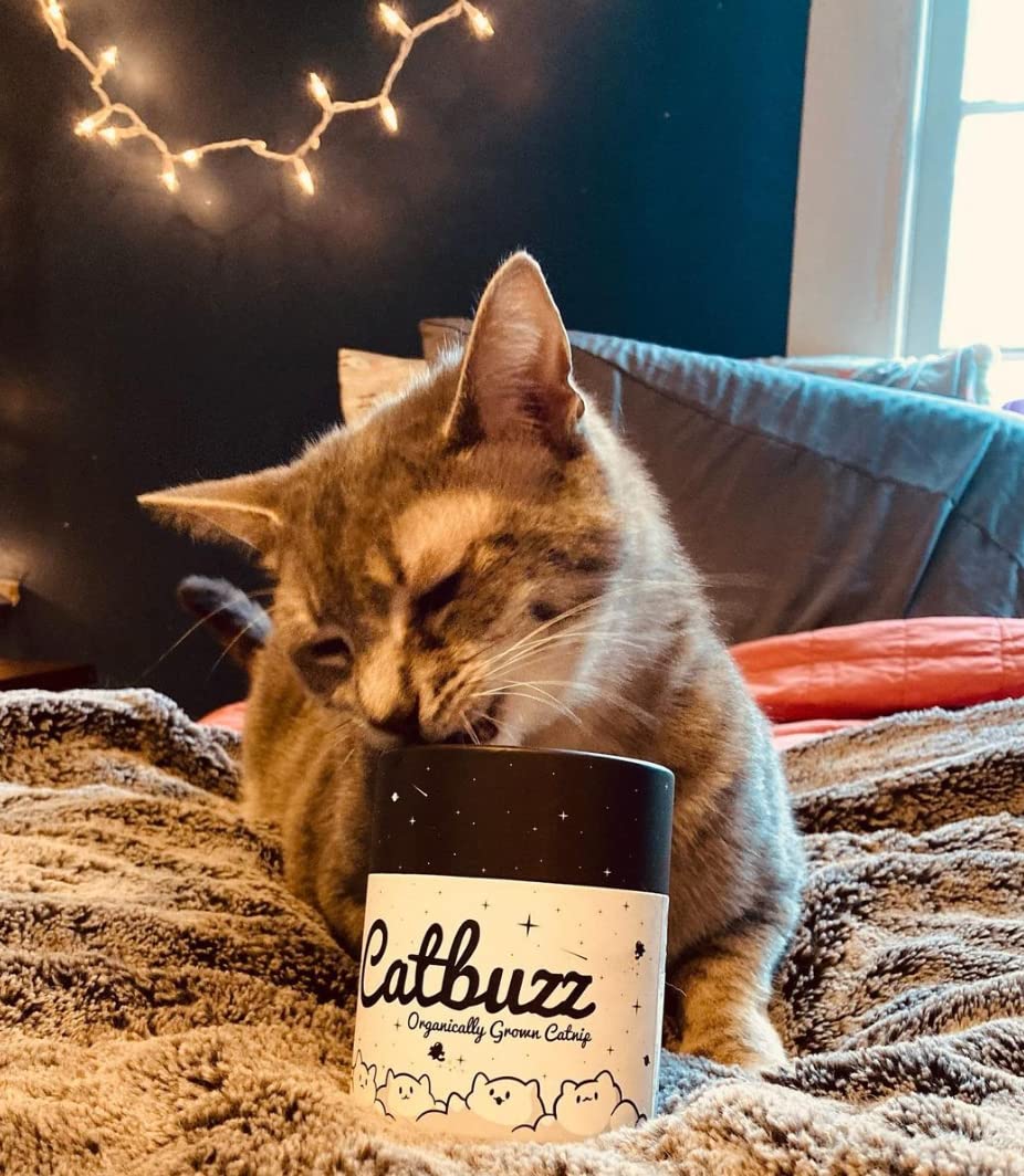 Catbuzz Premium and Organically Grown Catnip, Fresh, Grown by Family Farmers in The USA, All-Natural, Eco-Friendly, Sustainable