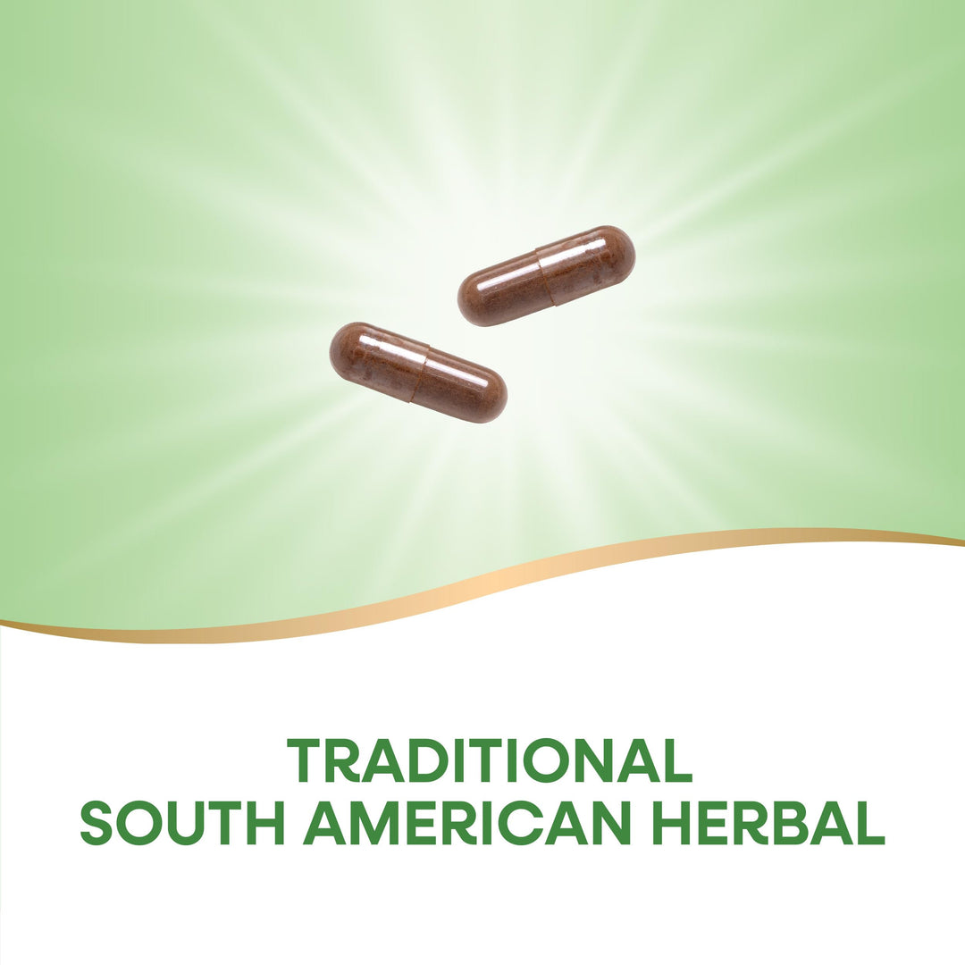 Nature&#39;s Way Pau d&#39;Arco Inner Bark, Traditional South American Herb, 2,180 mg per 4-Capsule Serving, Non-GMO Project Verified, 100 Capsules (Packaging May Vary)