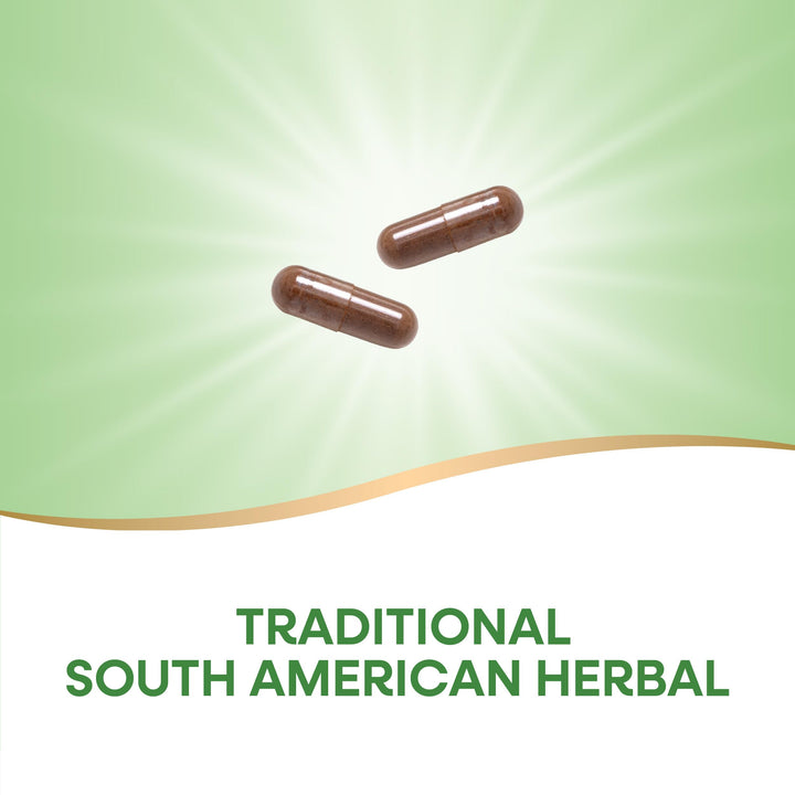 Nature&#39;s Way Pau d&#39;Arco Inner Bark, Traditional South American Herb, 2,180 mg per 4-Capsule Serving, Non-GMO Project Verified, 100 Capsules (Packaging May Vary)