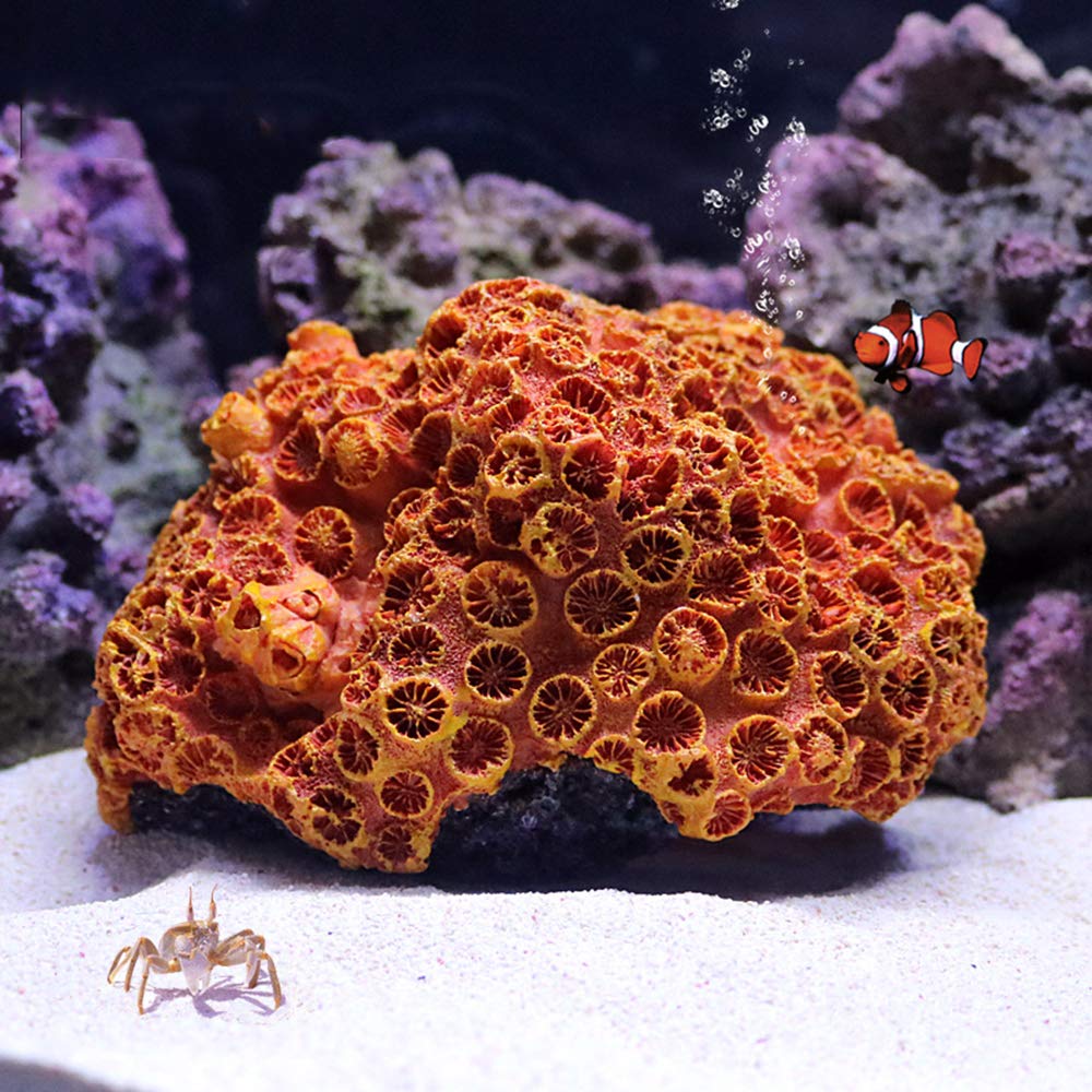 1Pc of Polyresin Coral Ornaments, Aquarium Coral Decor for Fish Tank Aquarium Decoration 5.11 x 3.93 x 2.75…
