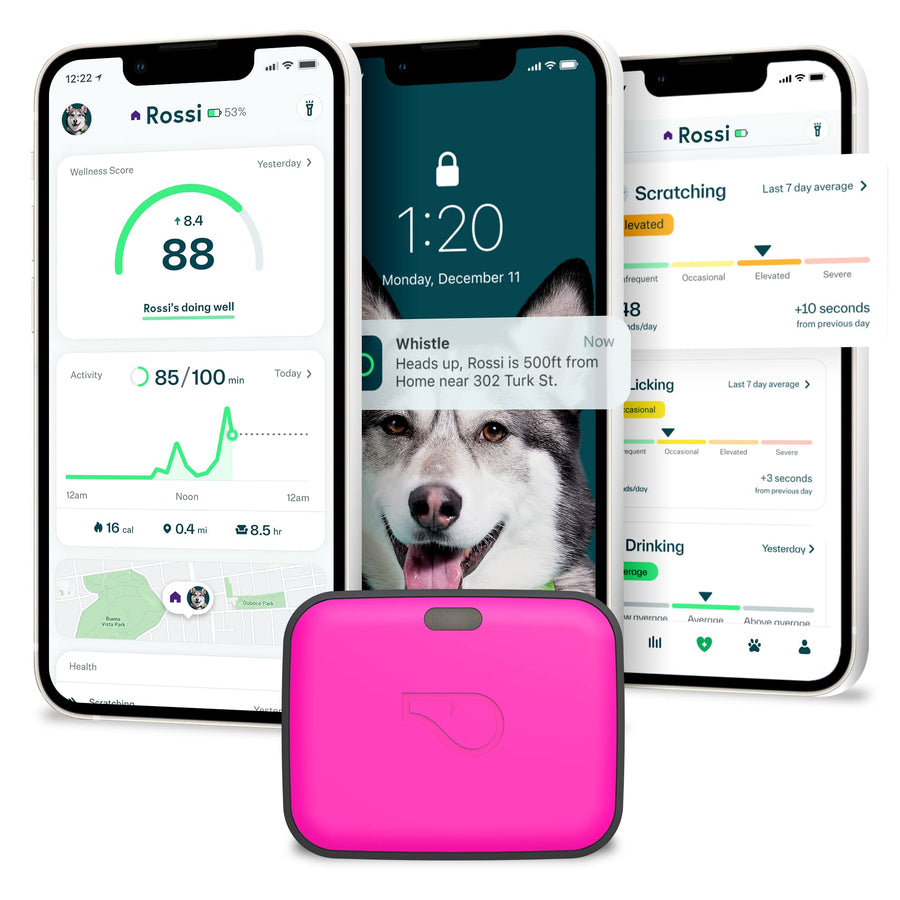 GPS + Health + Fitness - Ultimate Dog GPS Tracker Plus Dog Health & Fitness Monitor, Waterproof, Safe Place Escape Alerts, Built-in Night Light,Fits on Dog Collar, GO Explore, Magenta