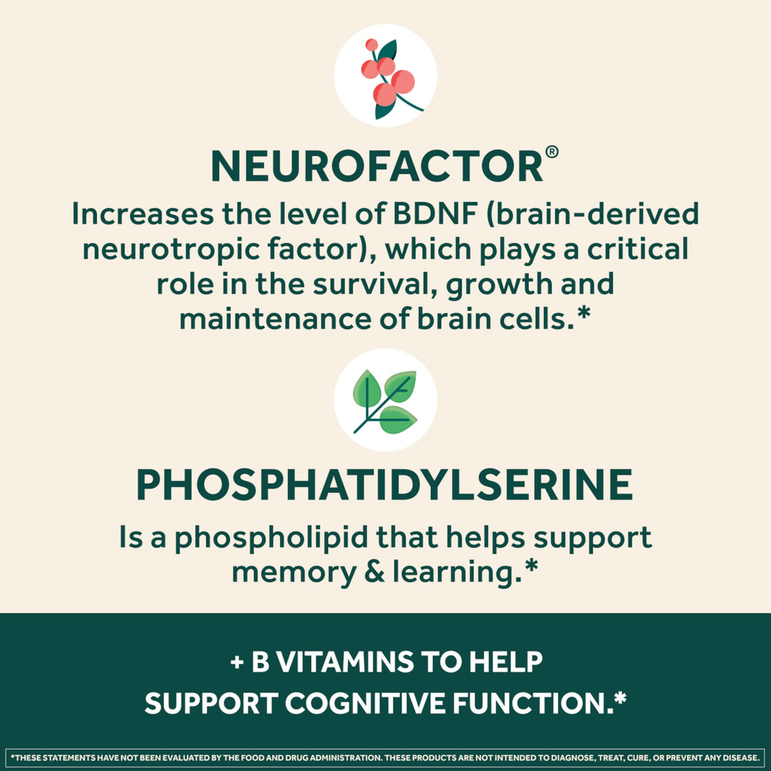 Plus Brain Supplement for Memory and Focus Clinically Tested Nootropics for Concentration for Mental Clarity, Cognitive Enhancement Vitamins B6, B12, Phosphatidylserine 30 Capsules