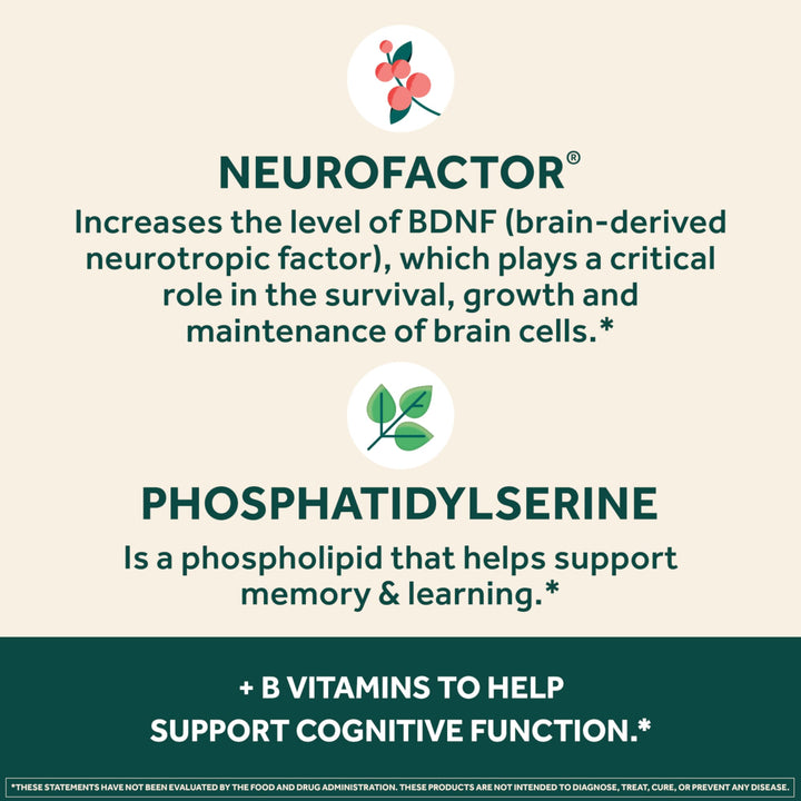 Plus Brain Supplement for Memory and Focus Clinically Tested Nootropics for Concentration for Mental Clarity, Cognitive Enhancement Vitamins B6, B12, Phosphatidylserine 30 Capsules