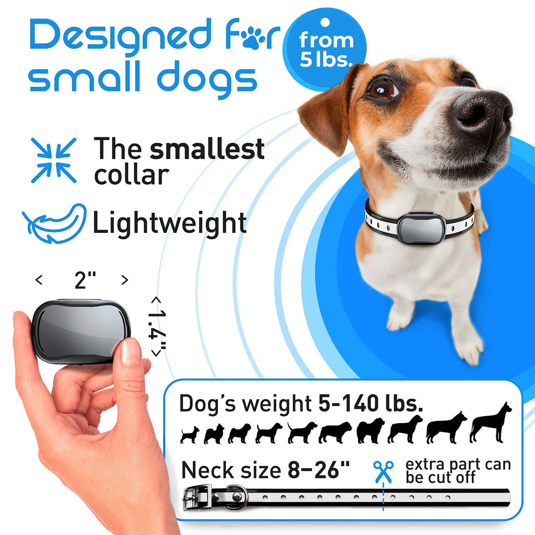 Extra Small Size Dog and Puppy Training Collar with Remote for Small Dogs 5-15lbs and Puppies with Shock - Waterproof and 1000 Ft Range