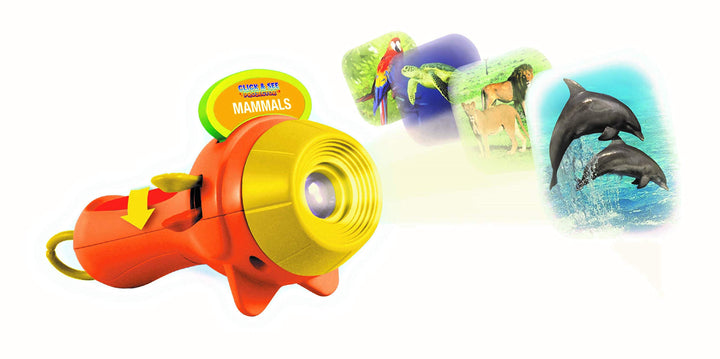 Smart Play - Click and See Projector