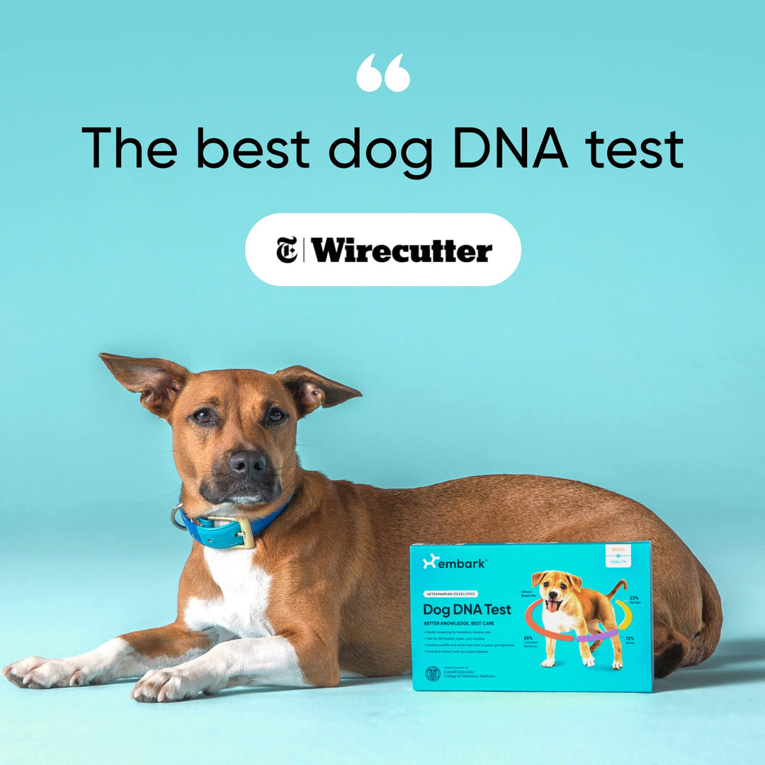 Breed &amp; Health Kit - Dog DNA Test - Discover Breed, Ancestry, Relative Finder, Genetic Health, Traits, COI