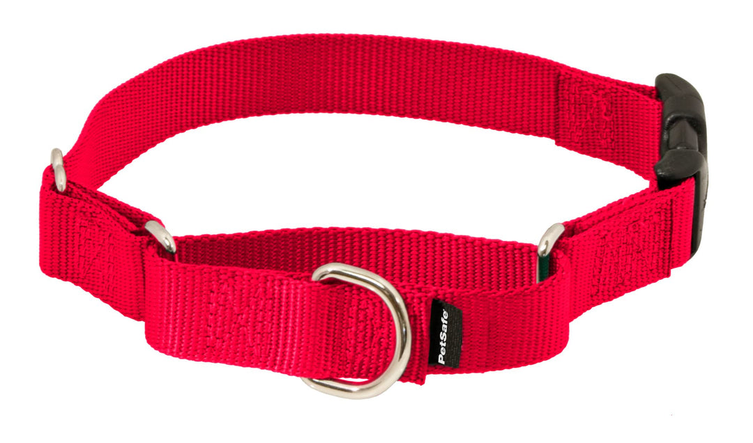 Martingale Dog Collar with Quick-Snap Buckle - Petite, 3/8 Inch, Red