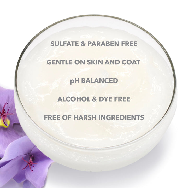 Keratin Volume Conditioner, 16 Ounce, MultiColor (830-16)