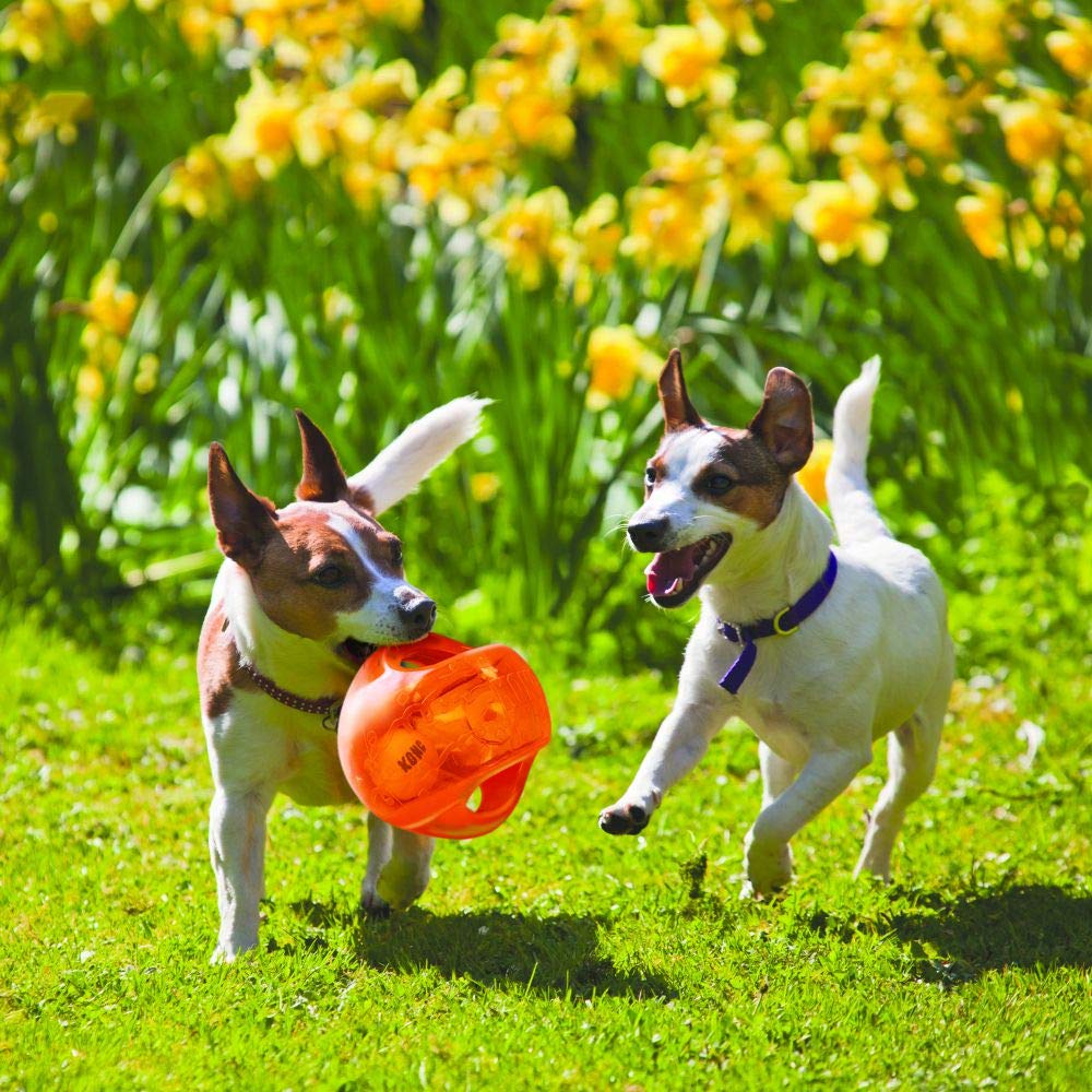 Jumbler Ball - Interactive Dog Toy for Dog & Puppy Playtime - Fetch Toy with Tennis Ball - Dog Supplies for Engaging Play - for Medium/Large Dogs - Assorted Colors