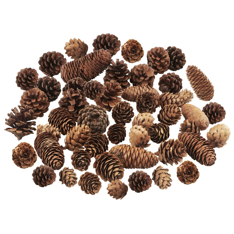 40 PCS Pine Cones Decorations, Natural Pine Cones Bulk Package - Large Medium and Mini Size Rustic Pine cone Ornaments for Table Christmas Tree Crafts Gifts Halloween Thanksgiving Home Decor
