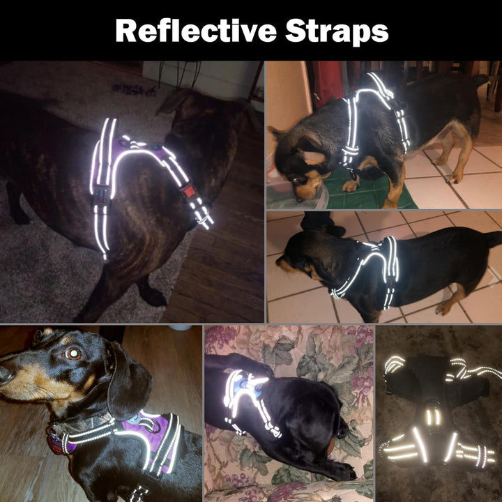 No Pull Dog Harness Medium Reflective Front Clip Vest with Handle,Adjustable 2 Metal Rings 3 Buckles,[Easy to Put on &amp; Take Off](M, Orange)