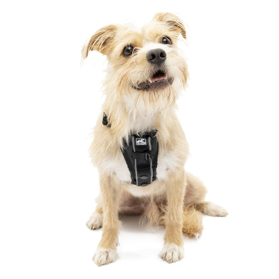 Dog Harness | Pet Walking Harness | Small | Black | No Pull Harness Front Clip Feature for Training Included | Car Seat Belt | Tru-Fit Quick Release Style