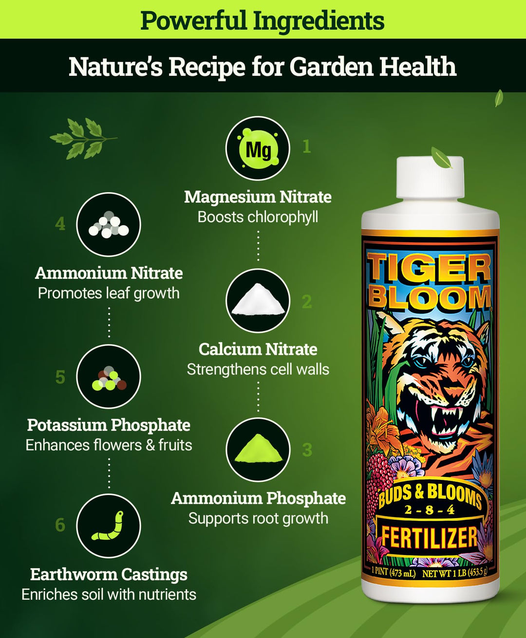 Tiger Bloom Liquid Fertilizer Concentrate - Fast Acting Formula for Vicious Growth with Phosphorus - Encourages Fruit, Flower &amp; Bud Development, NPK 2-8-4 (Pint)