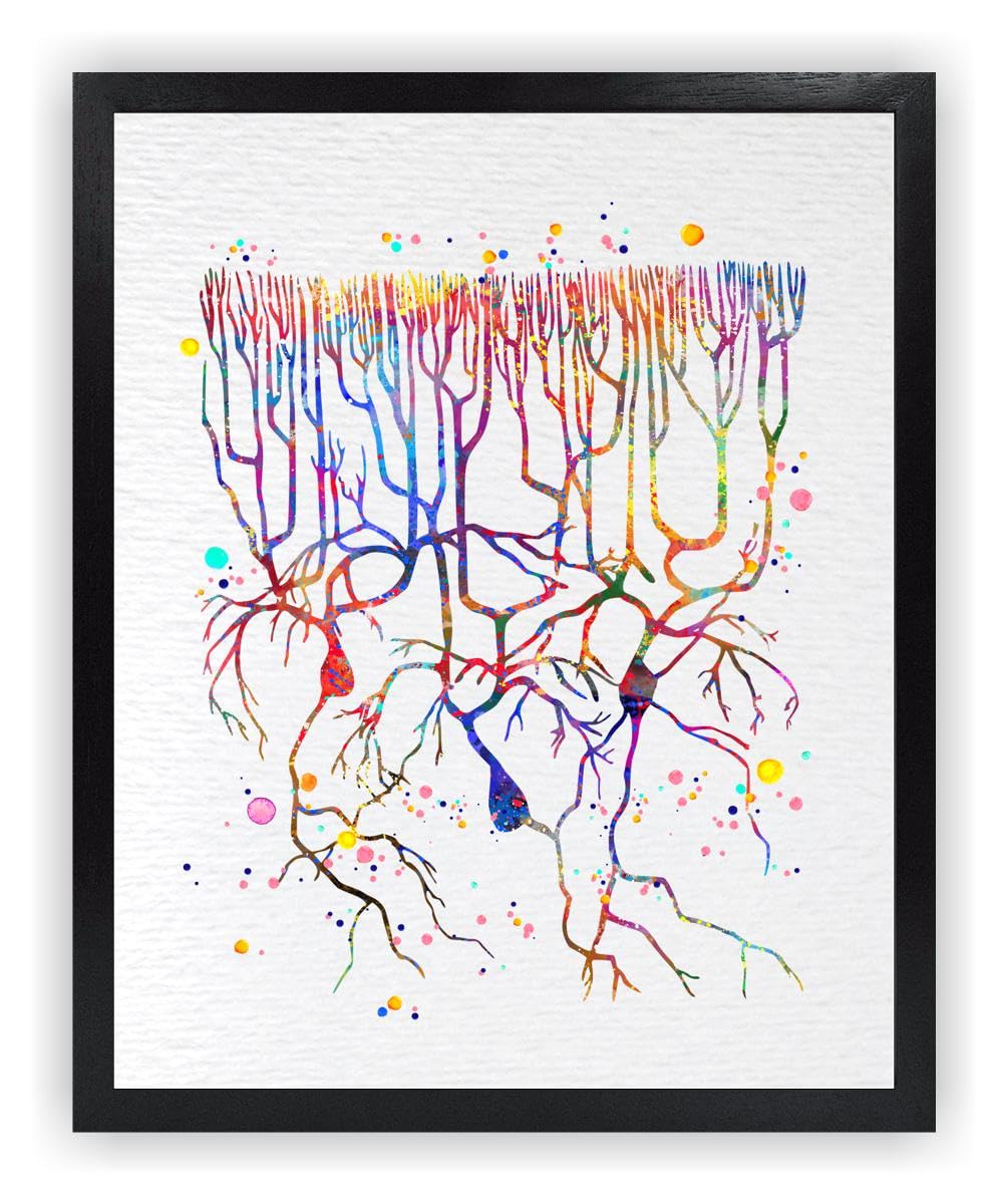 Dignovel Studios 8X10 Unframed Purkinje Neuron Watercol