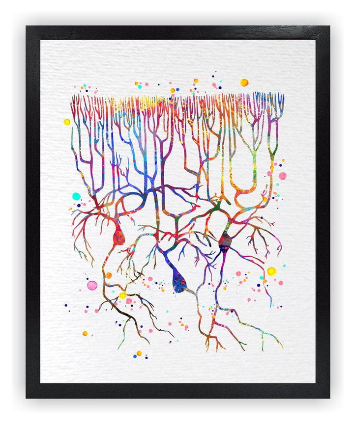 Dignovel Studios 8X10 Unframed Purkinje Neuron Watercol