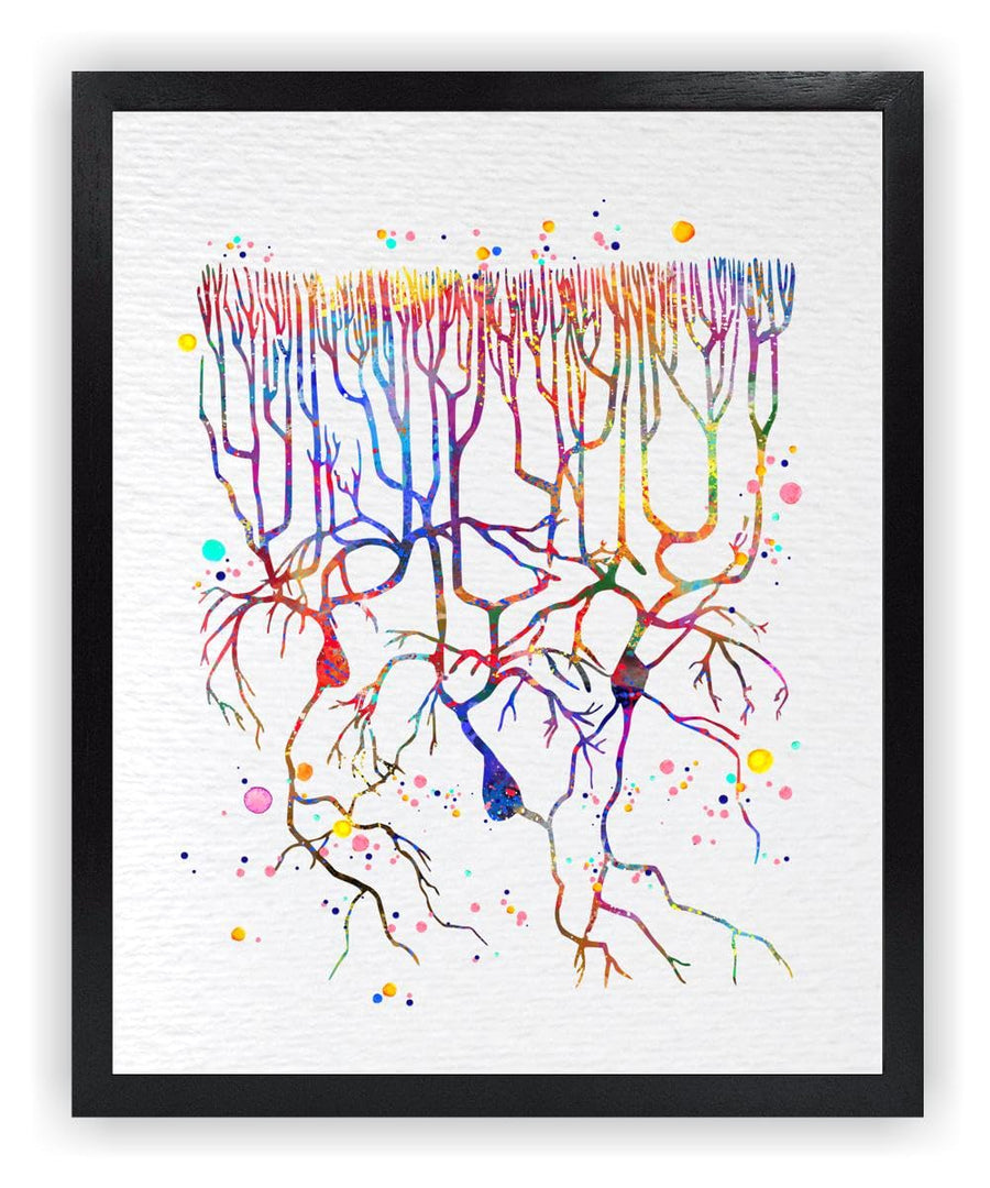 Dignovel Studios 8X10 Unframed Purkinje Neuron Watercol