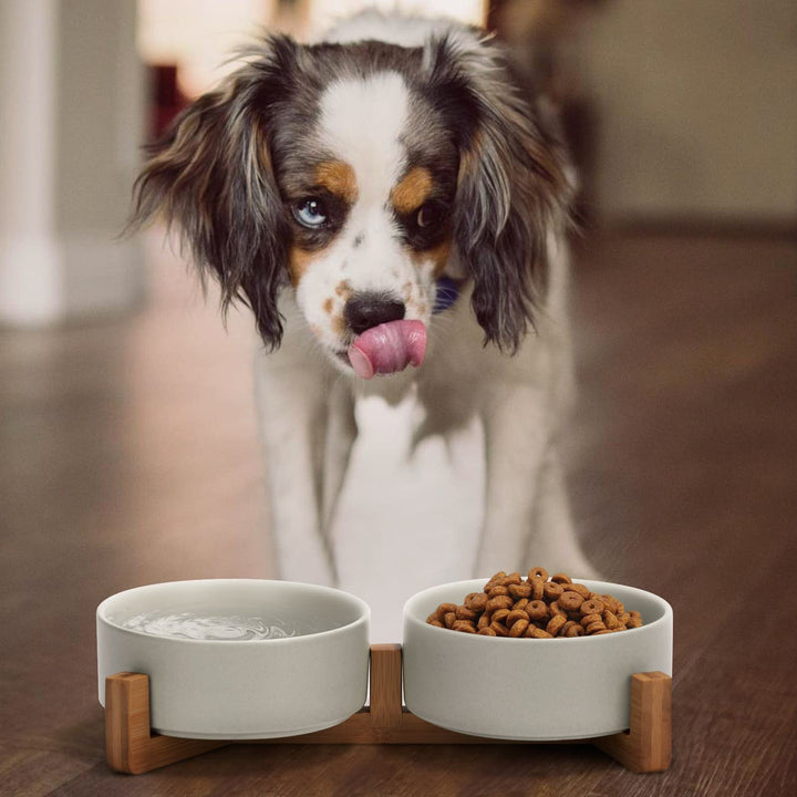 Ceramic Dog and Cat Bowl with Wood Stand Non-Slip Matte Glaze Weighted Food Water Set for Cats &amp;Small Dogs 13.5OZ